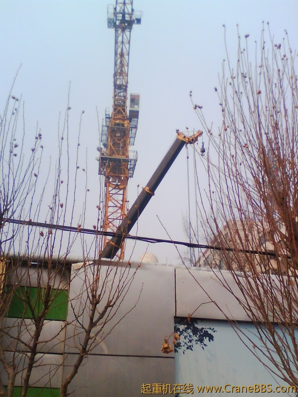 IMG1159A.jpg