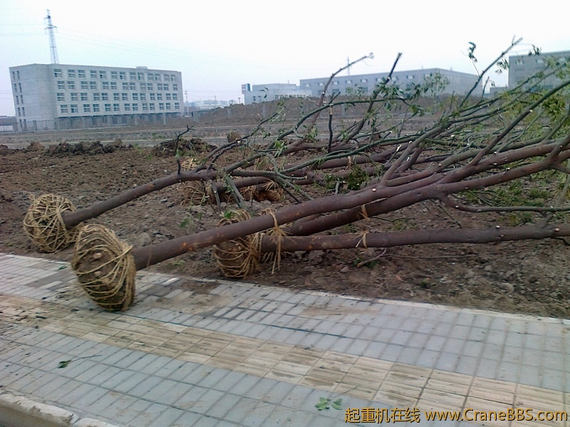20110305682.jpg