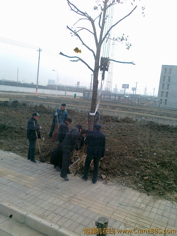 20110305683.jpg