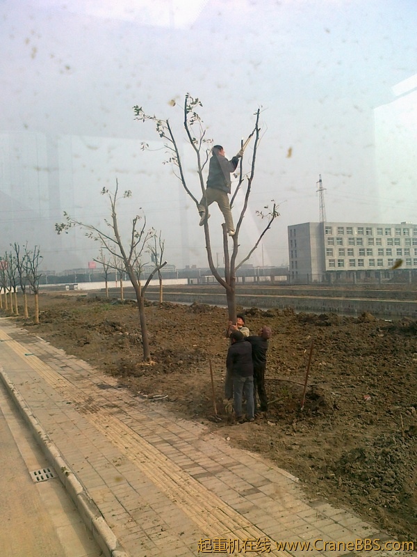 20110305686.jpg
