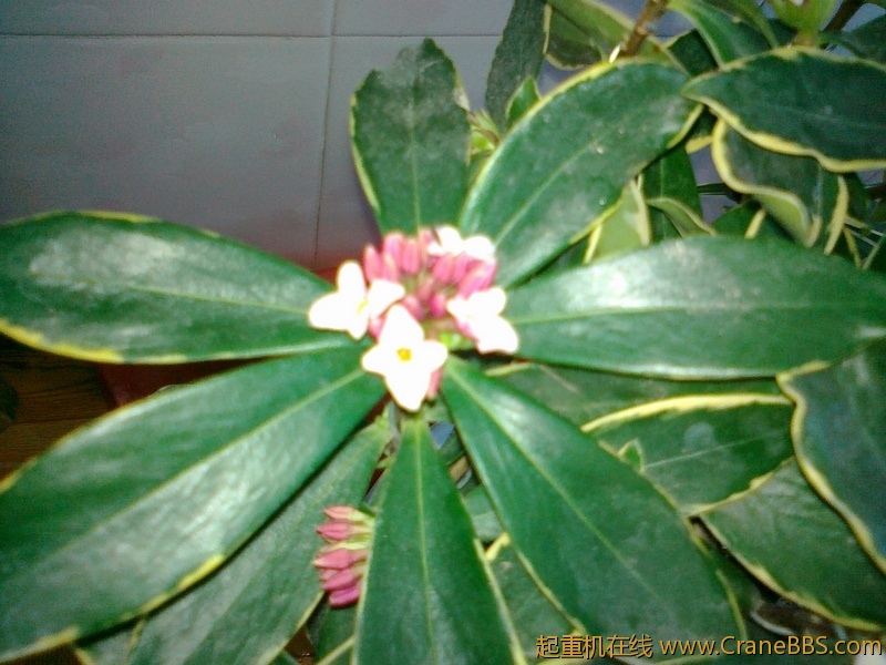 20110306688.jpg