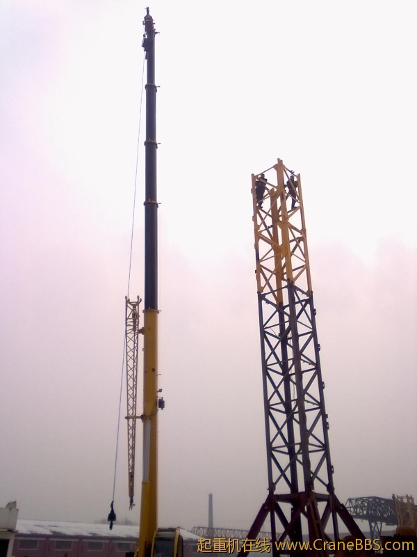20101219519.jpg