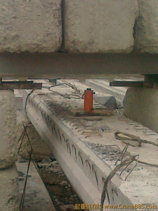 20110312097.jpg