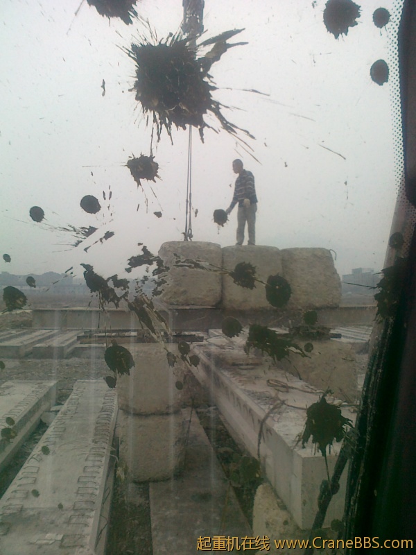 20110312095.jpg