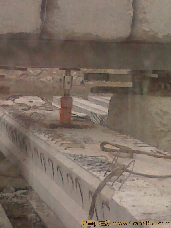 20110312099.jpg