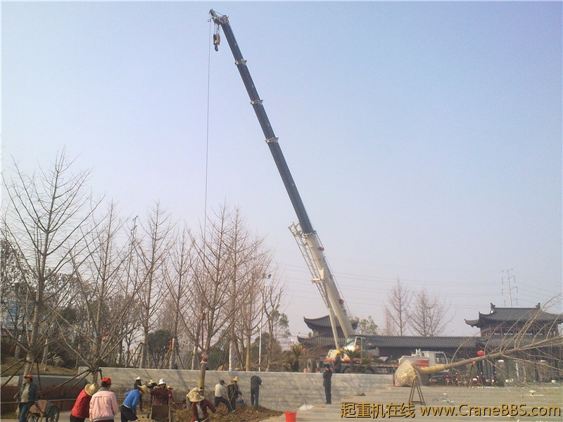 20110307254_副本.jpg