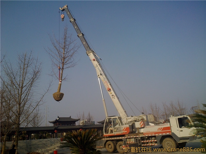 20110307257_副本.jpg