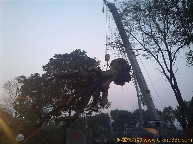 20110307267_副本.jpg