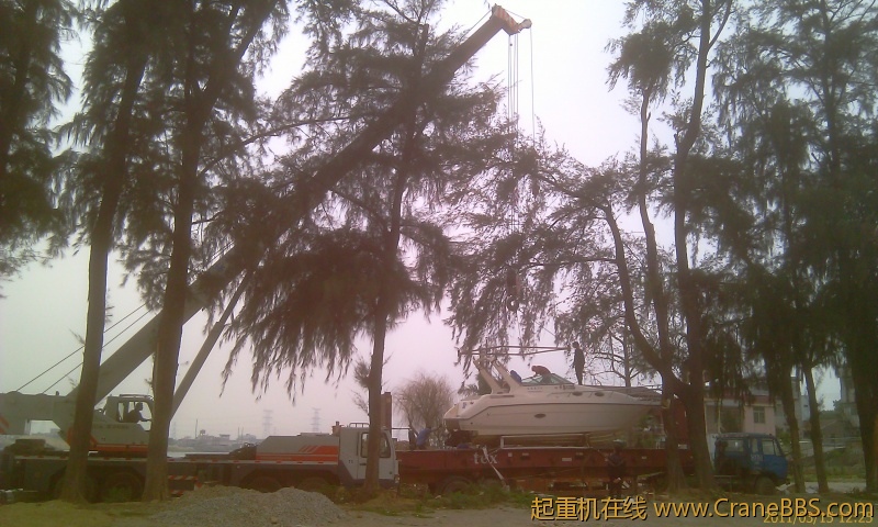 IMAG0052.jpg