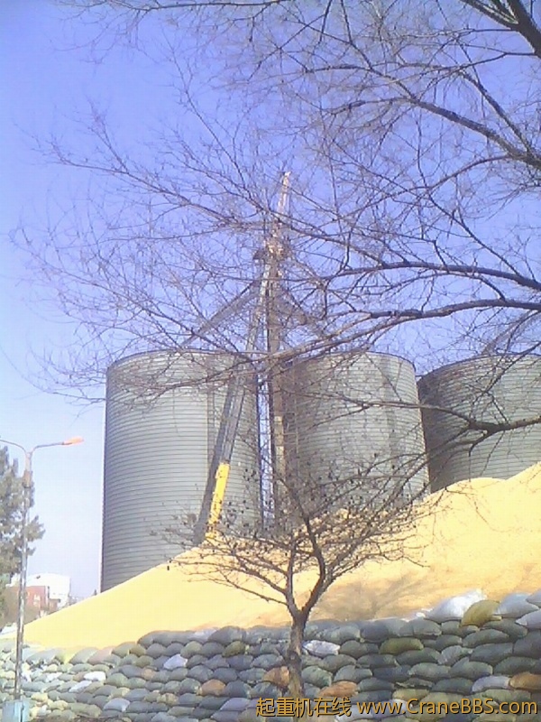 IMG0331A.jpg