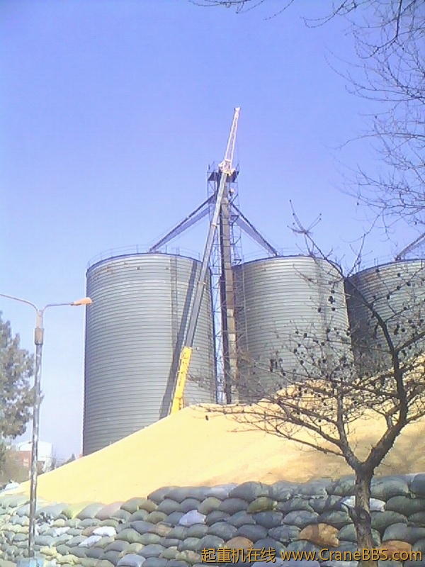 IMG0332A.jpg
