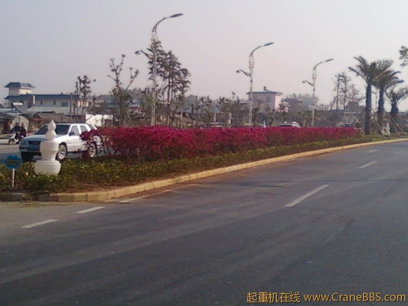 本市的市花