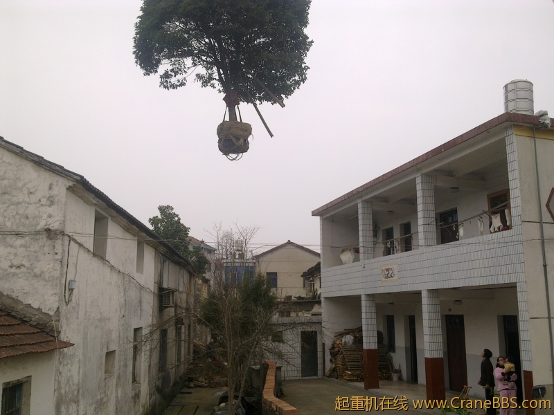 好大