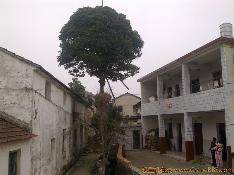 起半空
