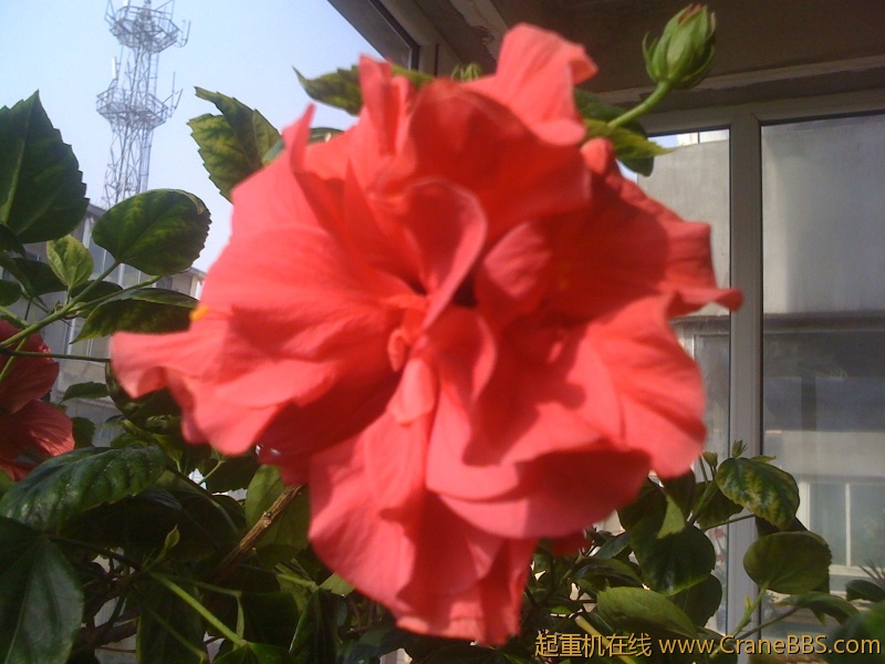 手机照片 999.jpg