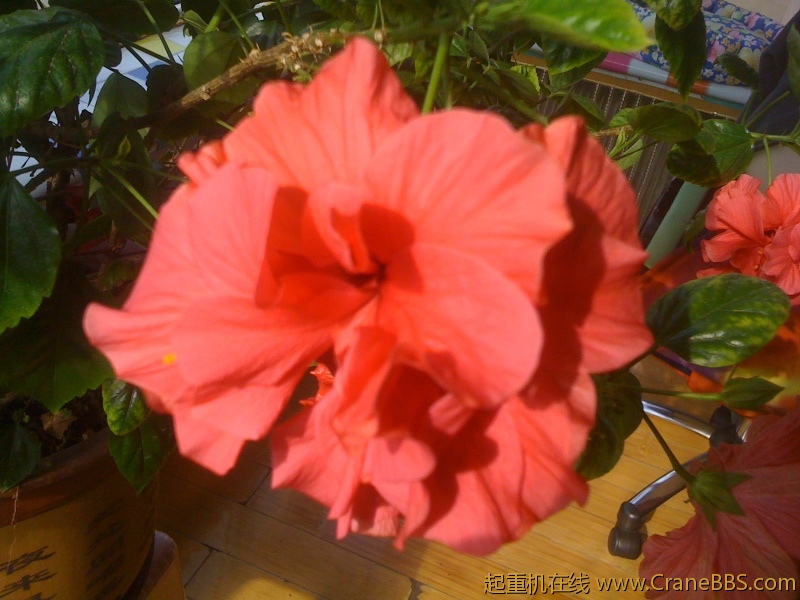 手机照片 1004.jpg