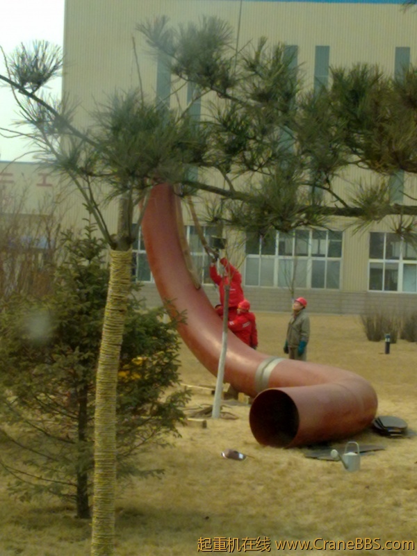 20110318417.jpg