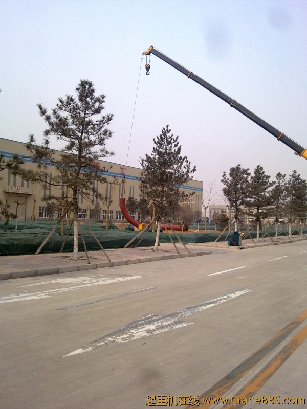 20110318413.jpg