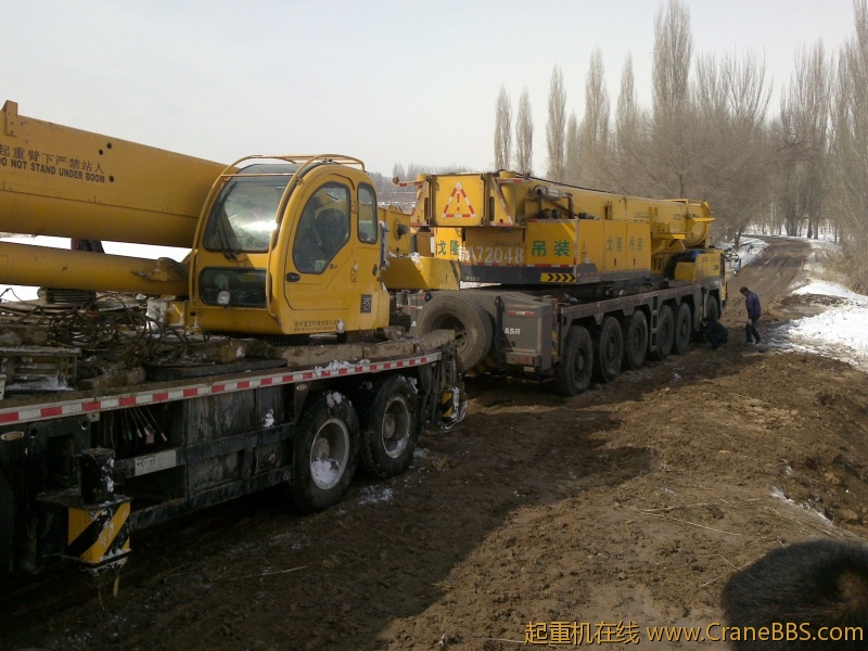 20110318181.jpg