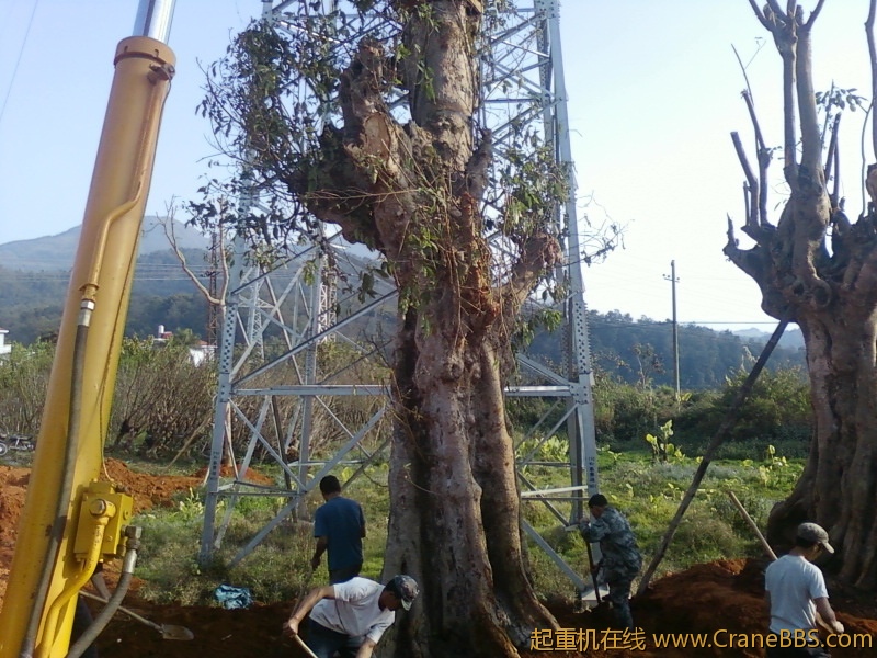 照片-0037.jpg