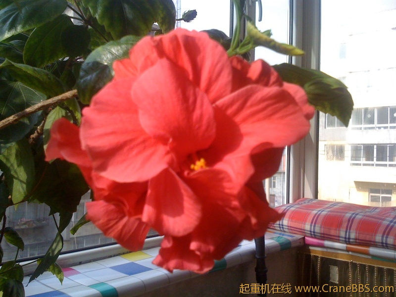 手机照片 994.jpg