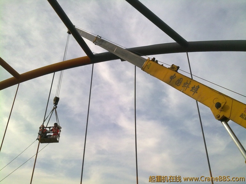 20101003390.jpg