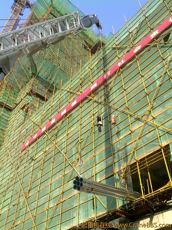 20101016405.jpg