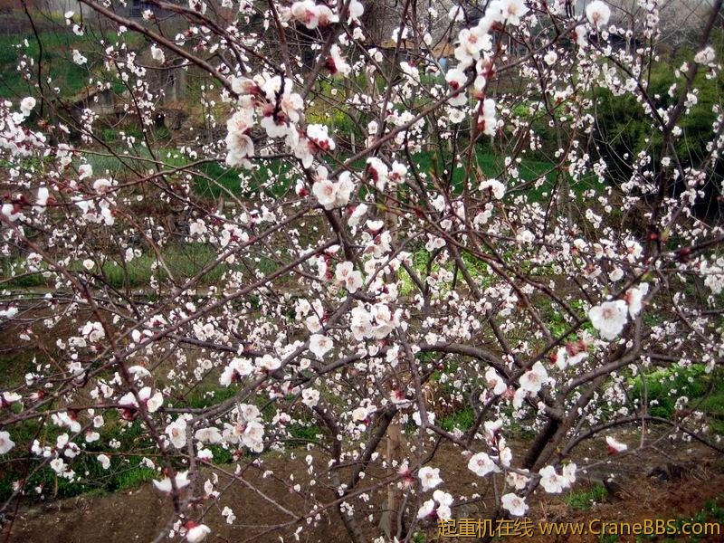 调整大小 IMG_0167.JPG