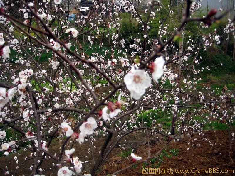 调整大小 IMG_0170.JPG