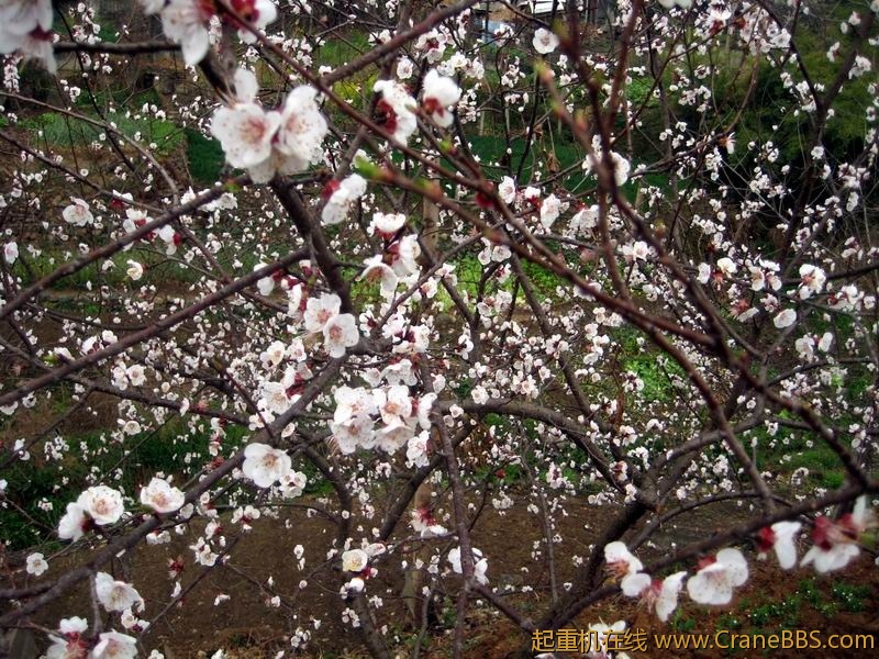 调整大小 IMG_0172.JPG