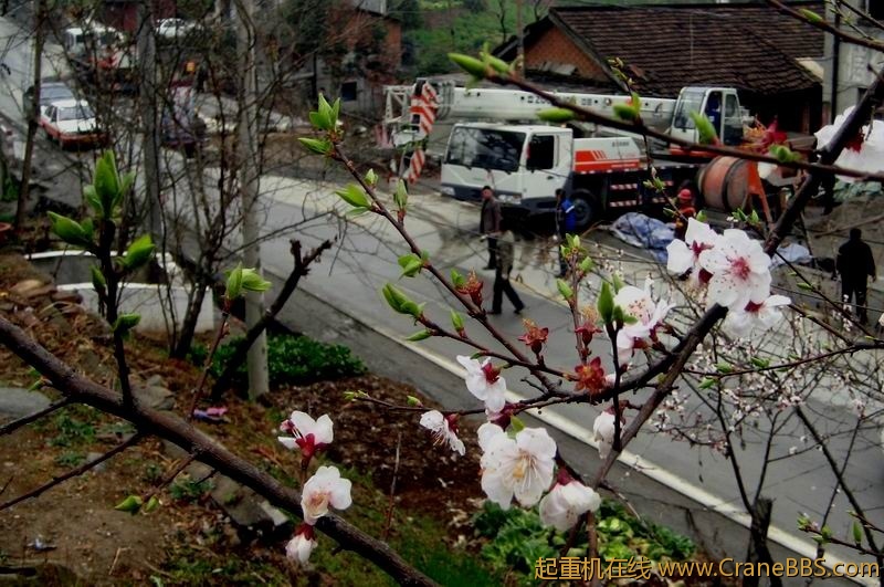 调整大小 IMG_0113.JPG