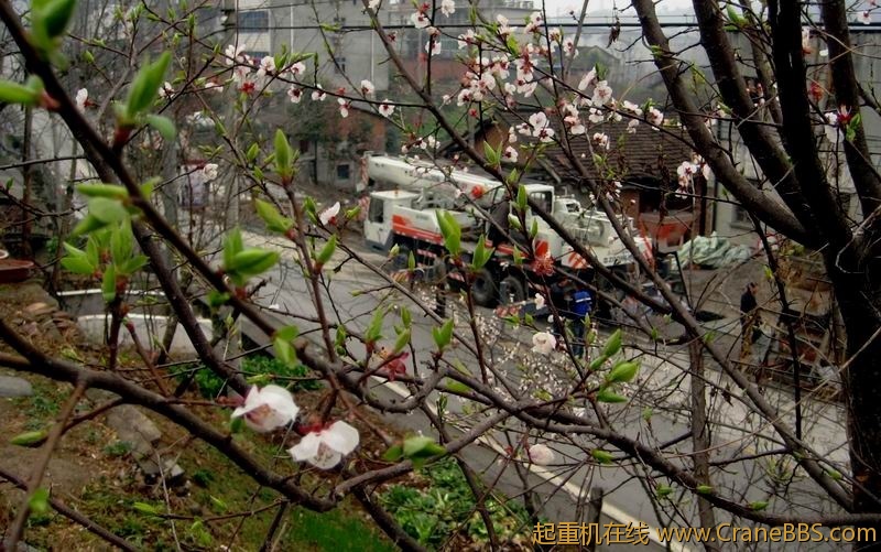 调整大小 IMG_0121.JPG