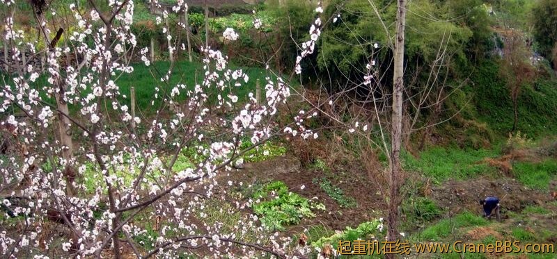 调整大小 IMG_0165.JPG