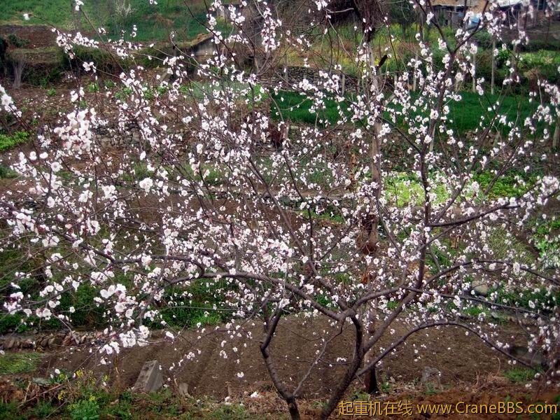 调整大小 IMG_0166.JPG