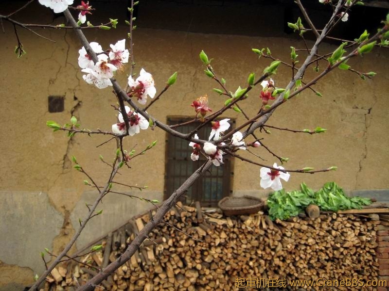 调整大小 IMG_0138.JPG