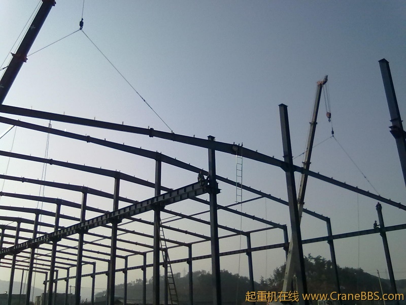 20101203056.jpg