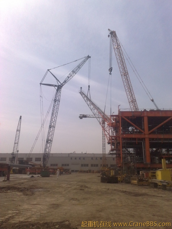 20110321480.jpg