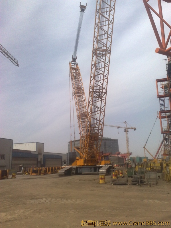 20110321485.jpg