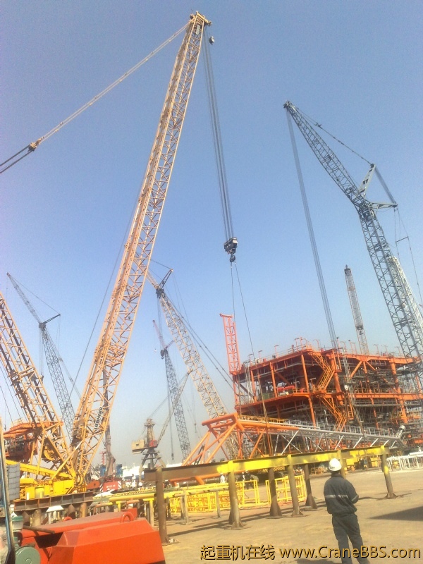 20110321490.jpg