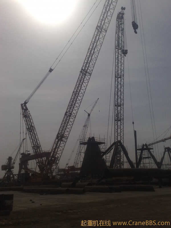 20110321481.jpg