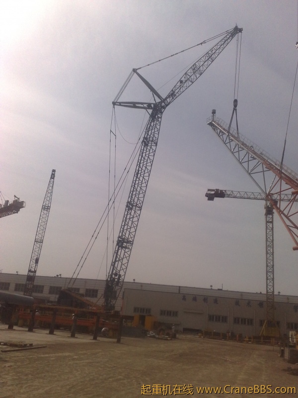 20110321484.jpg