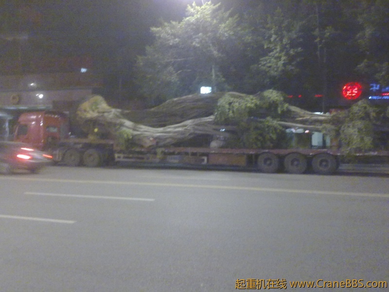 20110315046.jpg