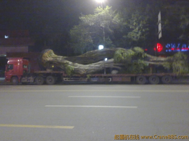 20110315048.jpg