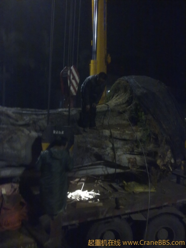 20110316049.jpg