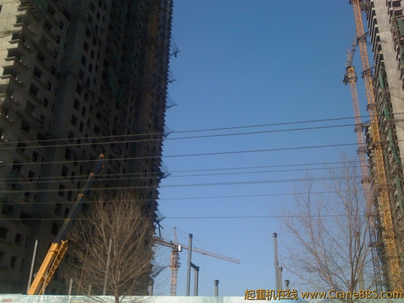 手机照片 1200.jpg