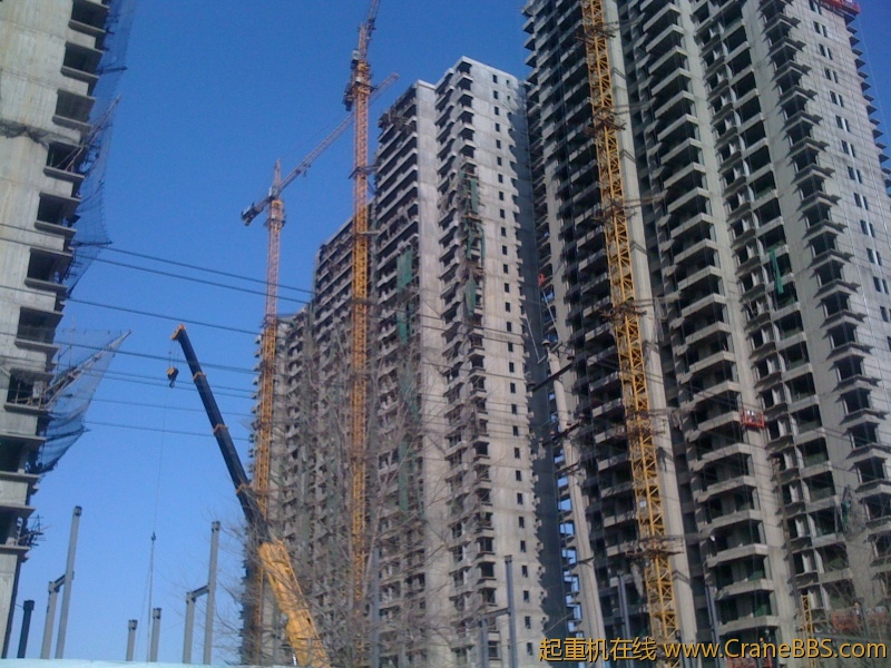 手机照片 1187.jpg