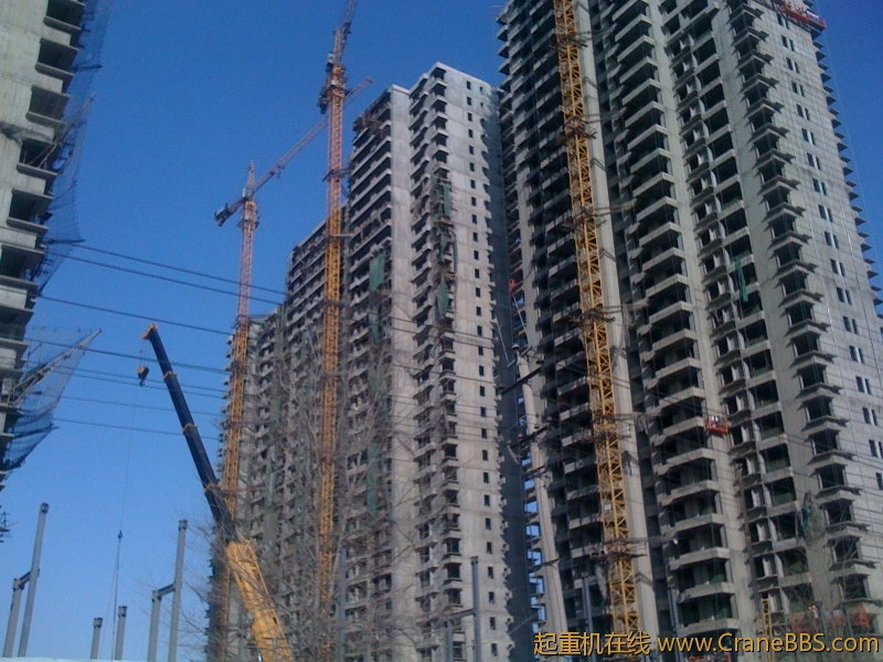 手机照片 1165.jpg