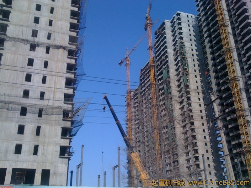 手机照片 1160.jpg