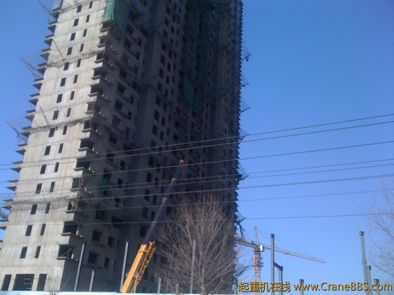 手机照片 1211.jpg