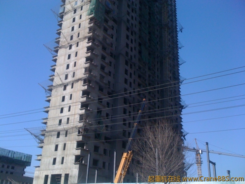 手机照片 1154.jpg